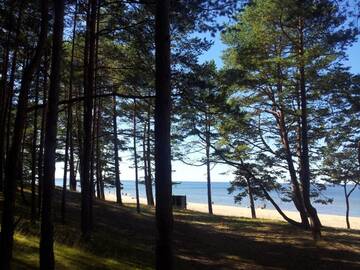 Фотографии Апартаменты Apartamenti Strand г. Саулкрасты (Латвия) №4 Фото Апартаменты Apartamenti Strand г. Саулкрасты 4