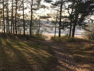 Фото номера Дом с 4 спальнями Дома для отпуска Seaside apartments г. Саулкрасты 22